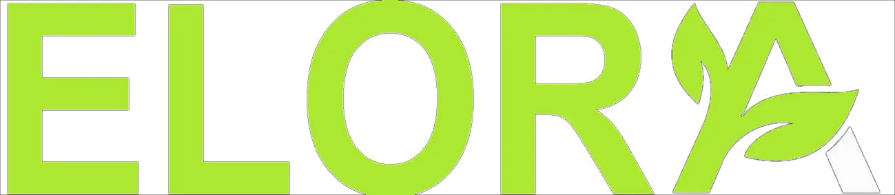 Elora Finance - 